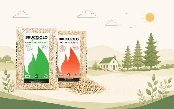 Quello che c'è da sapere sul Pellet Brucciolo