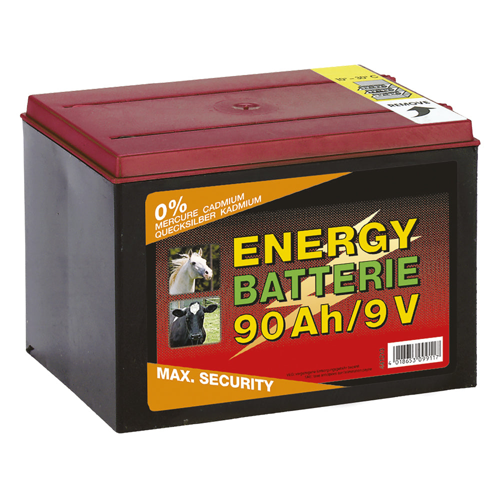 Batteria Per Elettrificatore Albert Kerbl