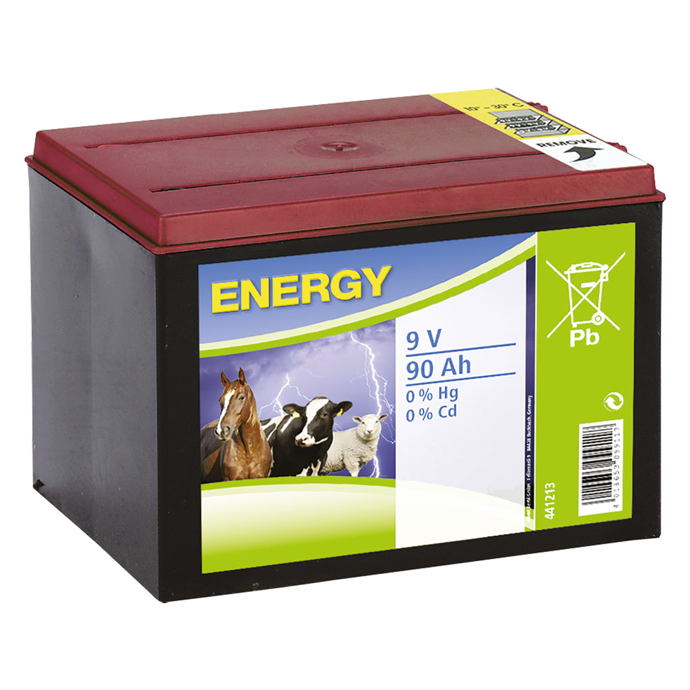 Batteria Per Elettrificatore 9v Albert Kerbl