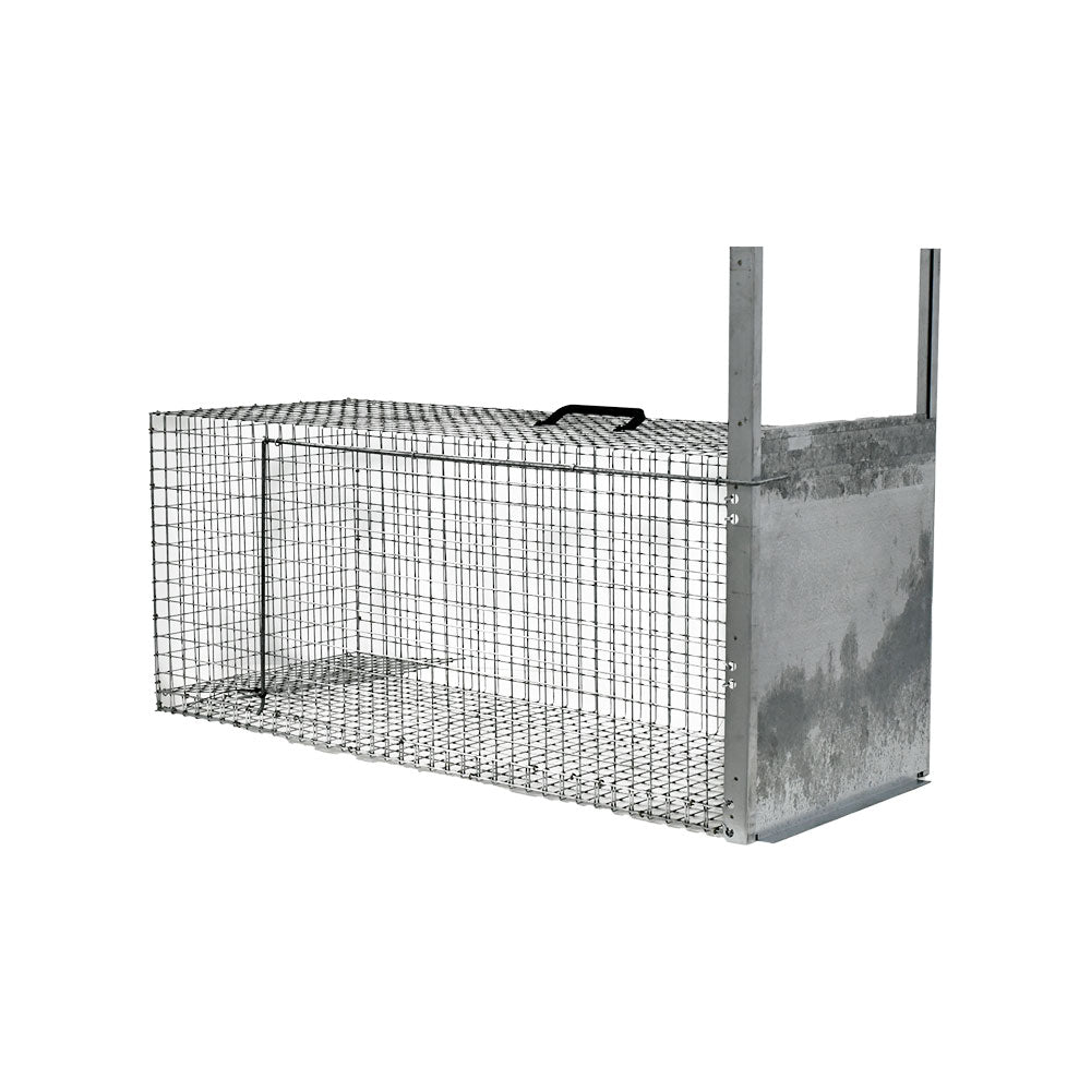 Trappola Per Topi | LIF