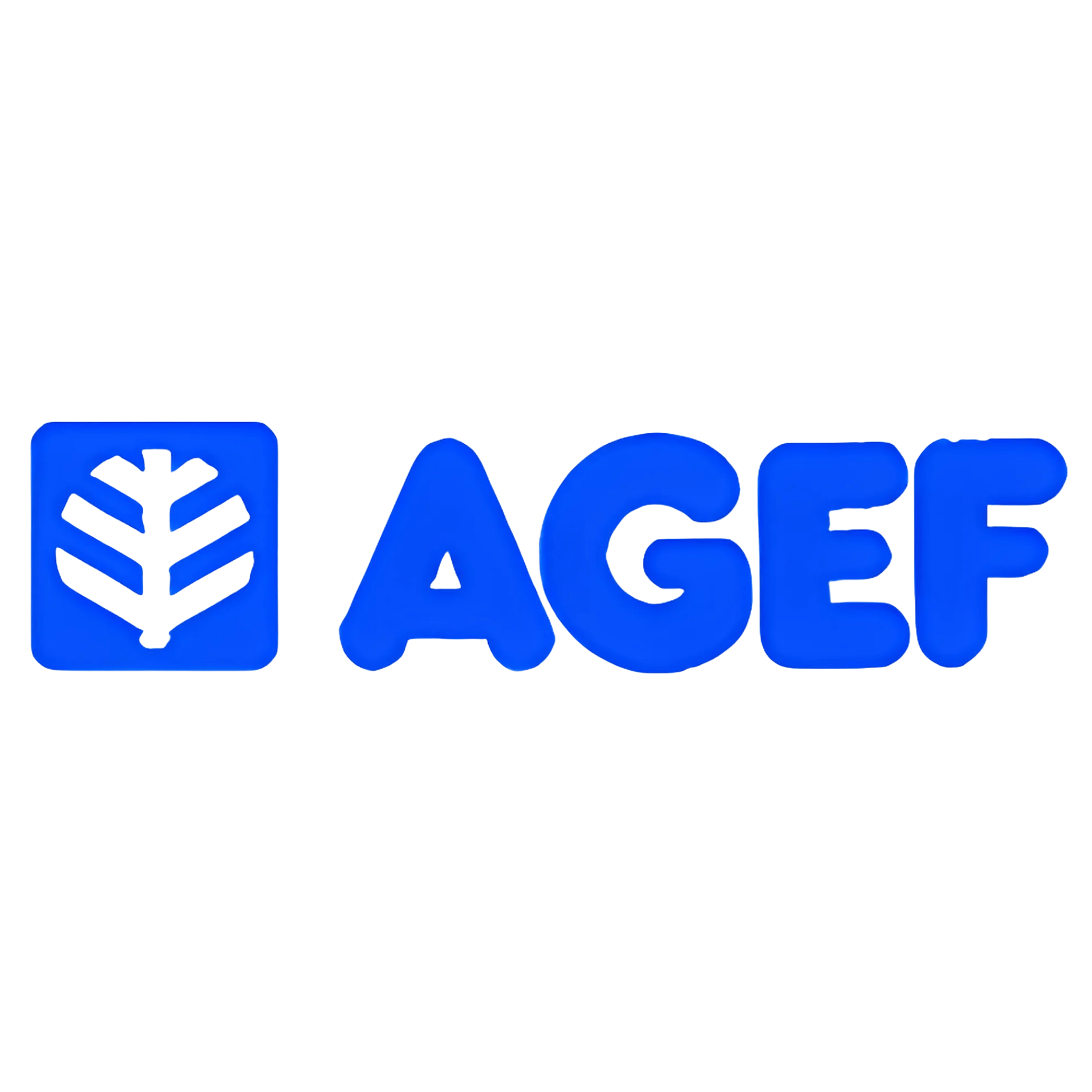 AGEF LOGO