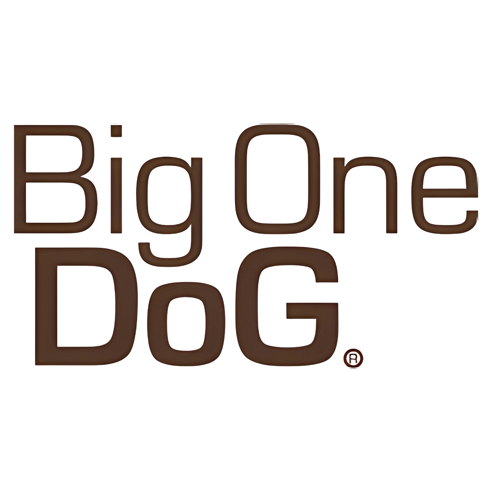BIG ONE DOG LOGO