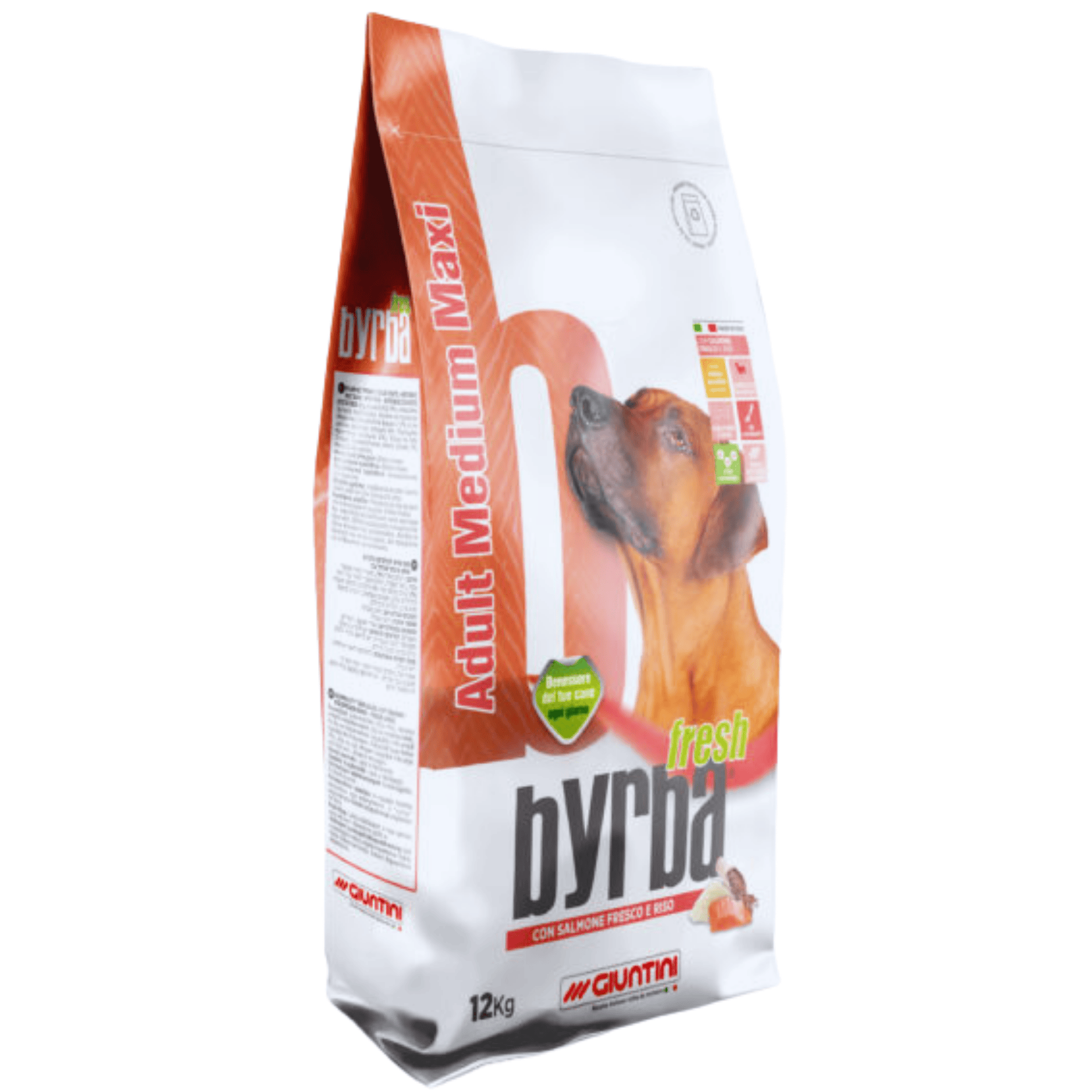 Byrba Fresh Medium Maxi Al Salmone Fresco | Alimento Completo Per Cani Di Taglia Media E Grande | Con Semi Di Lino E Proteine Ipoallergeniche