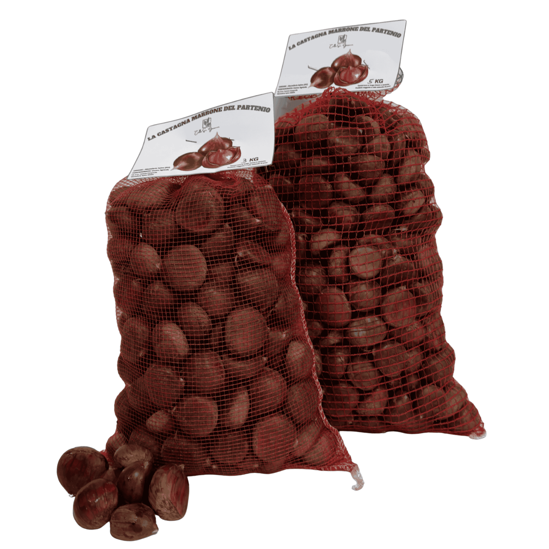 Castagne marrone del partenio colle san giovanni