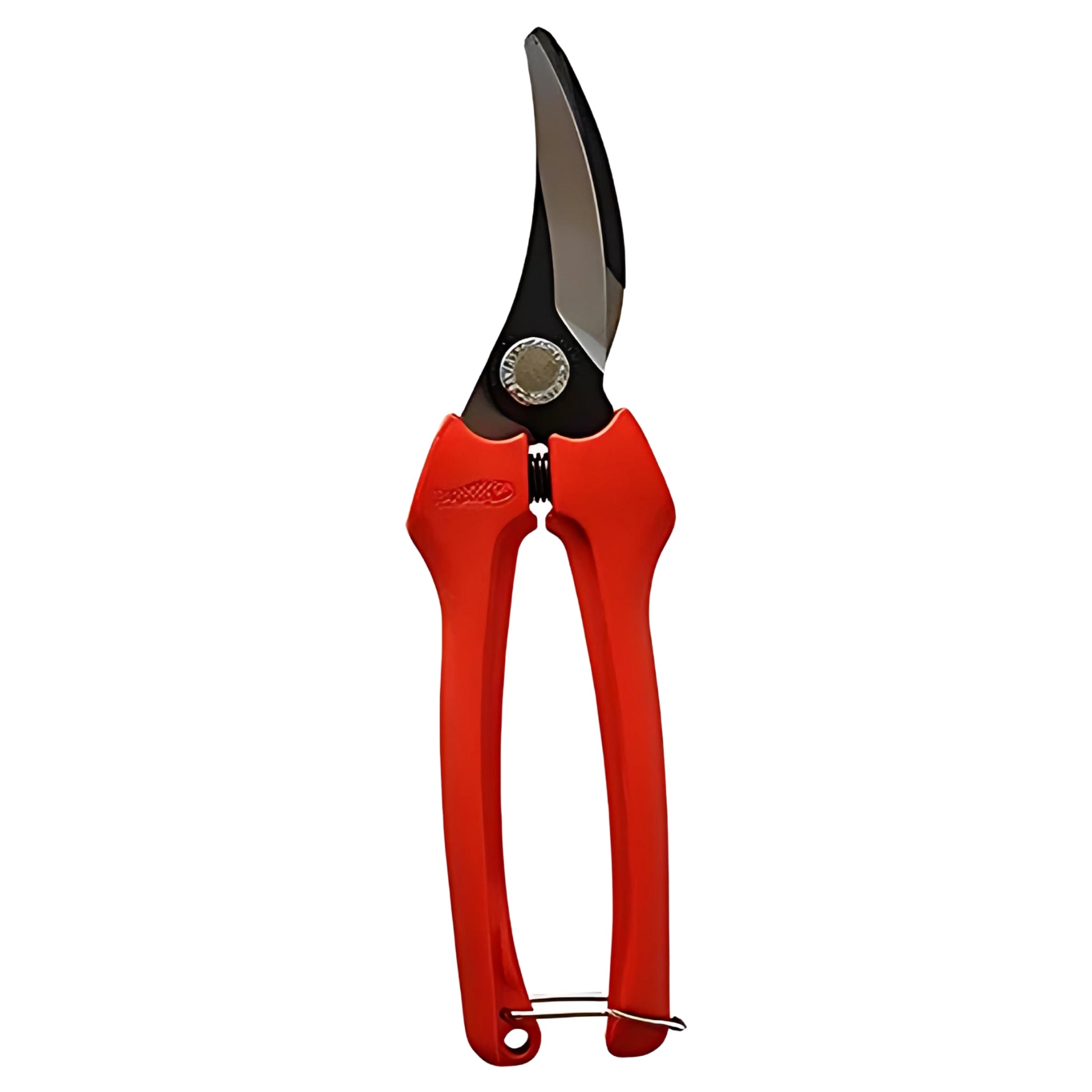 Forbici Professionali Cogliuva Bahco P123-19 | Lama Curva Inox | Manico Rinforzato | Apertura 40 mm