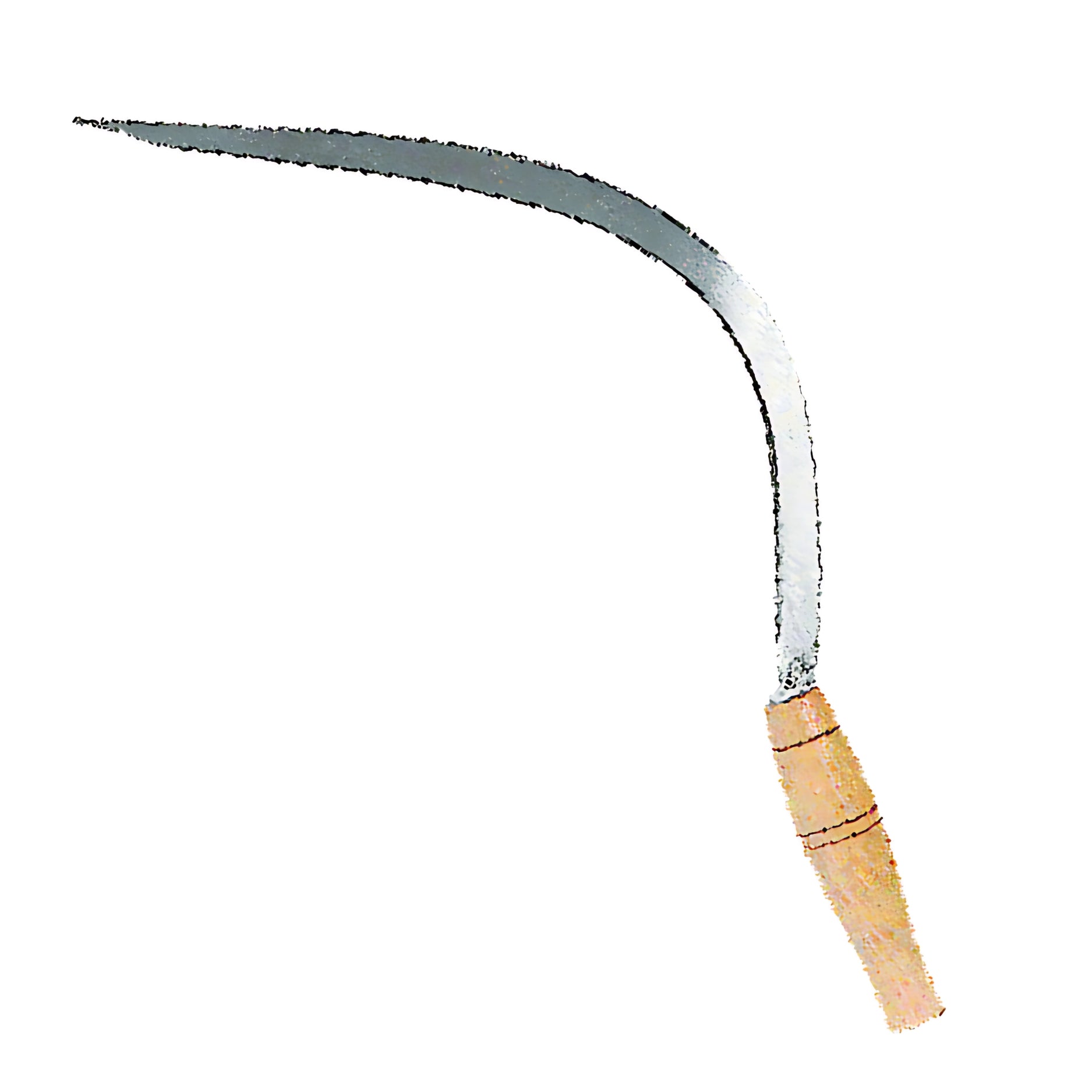 Falciola Dentata "Serpente" Con Punta Rialzata | Lama Curva Rinforzata | Ideale Per Erbacce Resistenti E Lavori Di Precisione