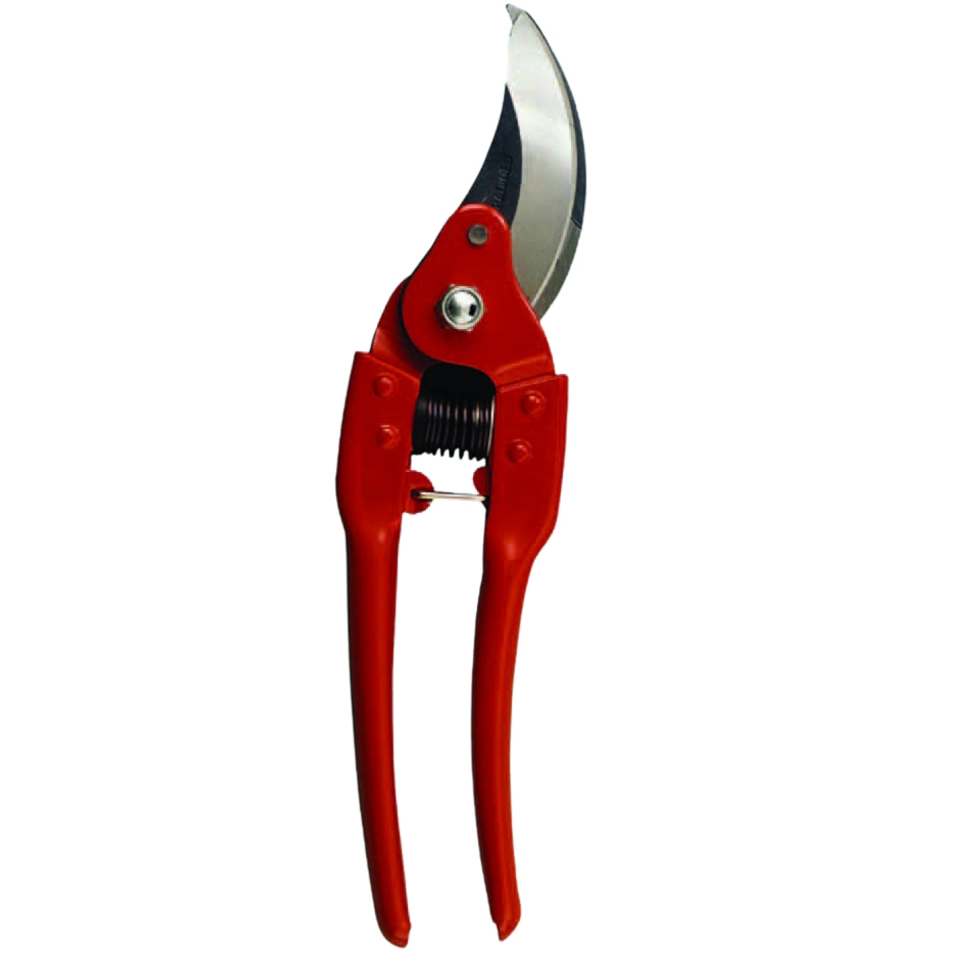 Forbice Professionale Da Pota Pradines P 110 | Lama Intercambiabile In Acciaio Speciale | Manici In Acciaio Stampato