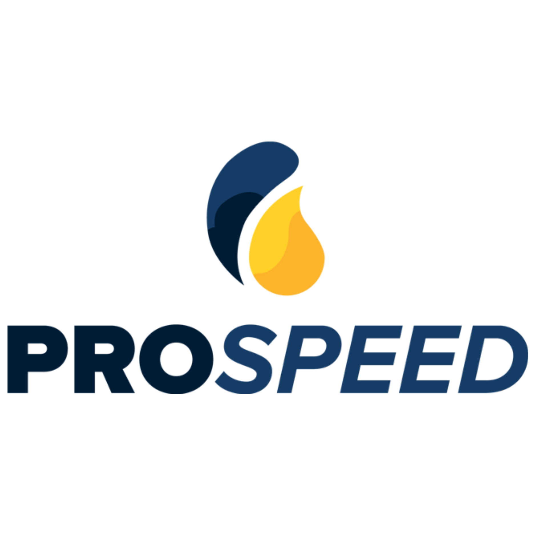 Olio Per Catena Bio Prospeed | Lubrificante Ecologico Alta Adesività Per Motoseghe Professionali Pro