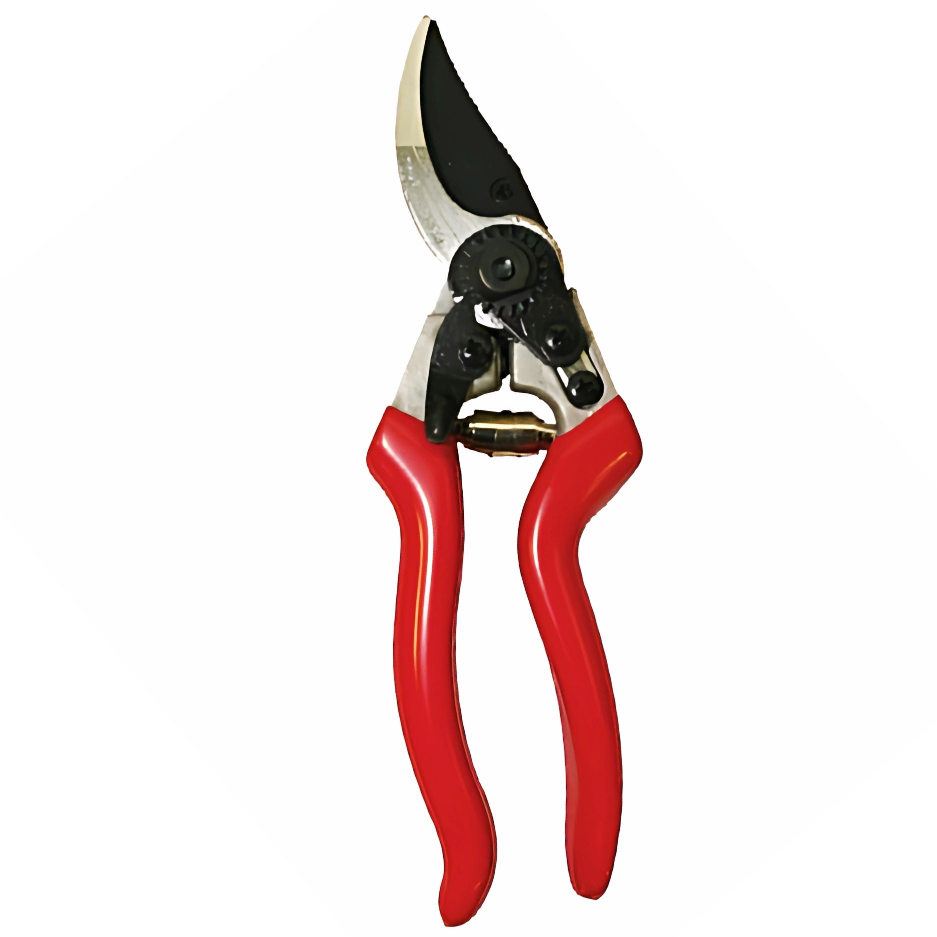 Forbici Da Potatura Professionali KS8T Samurai | Lama In Acciaio Temprato | Manici Antiscivolo