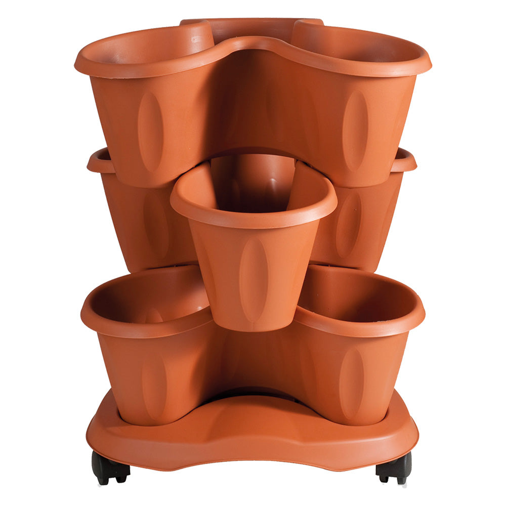 Vaso Giardino | BAMA
