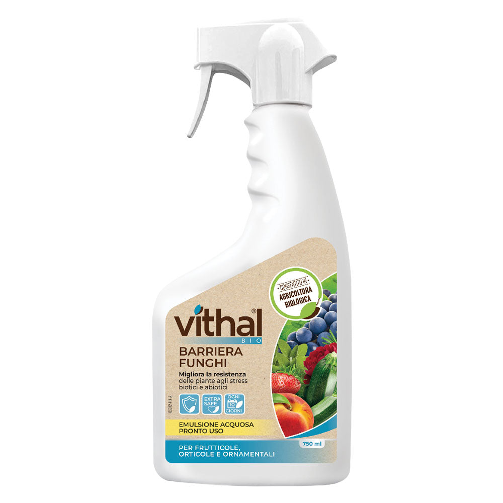 Trattamento Piante | VITHAL