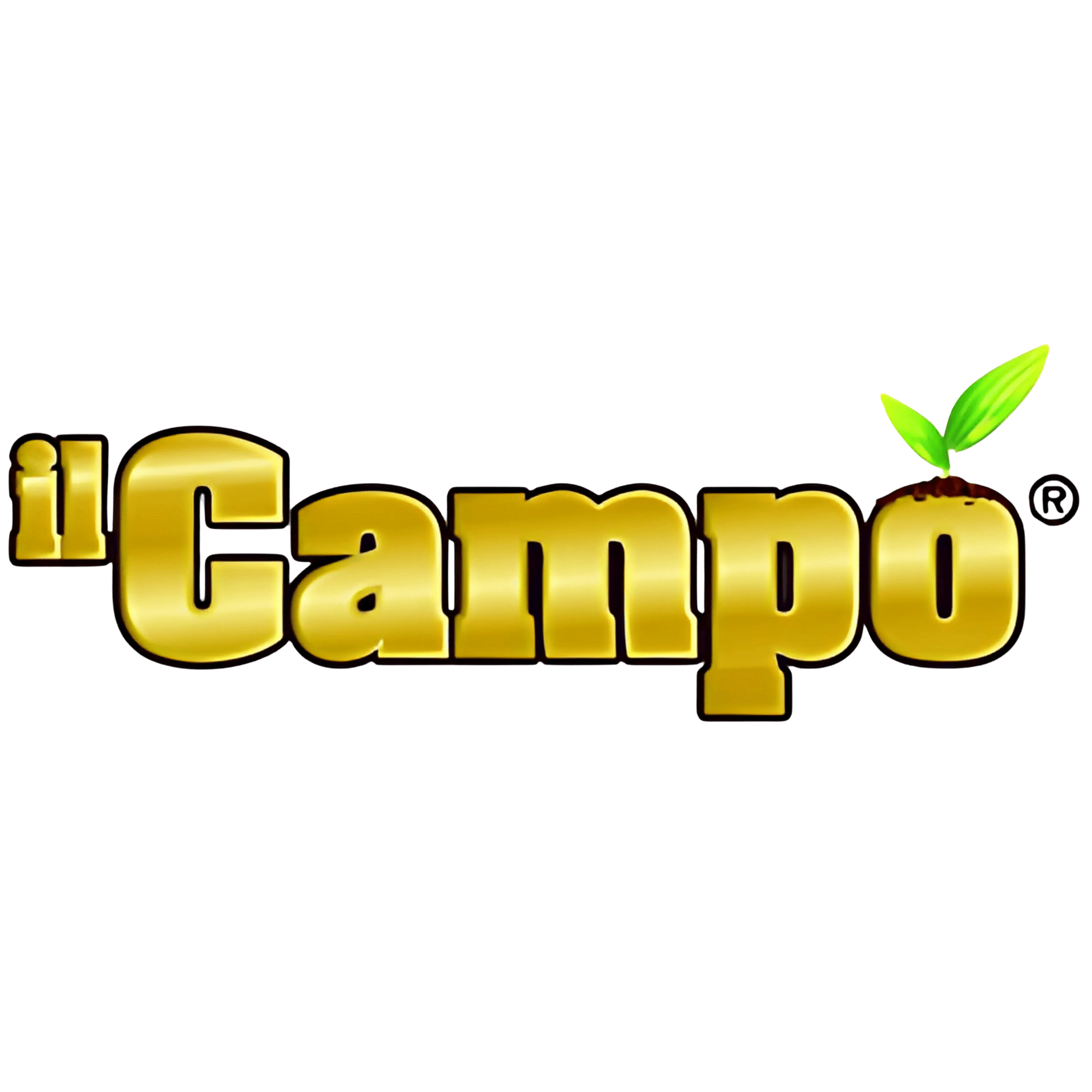 IL CAMPO LOGO