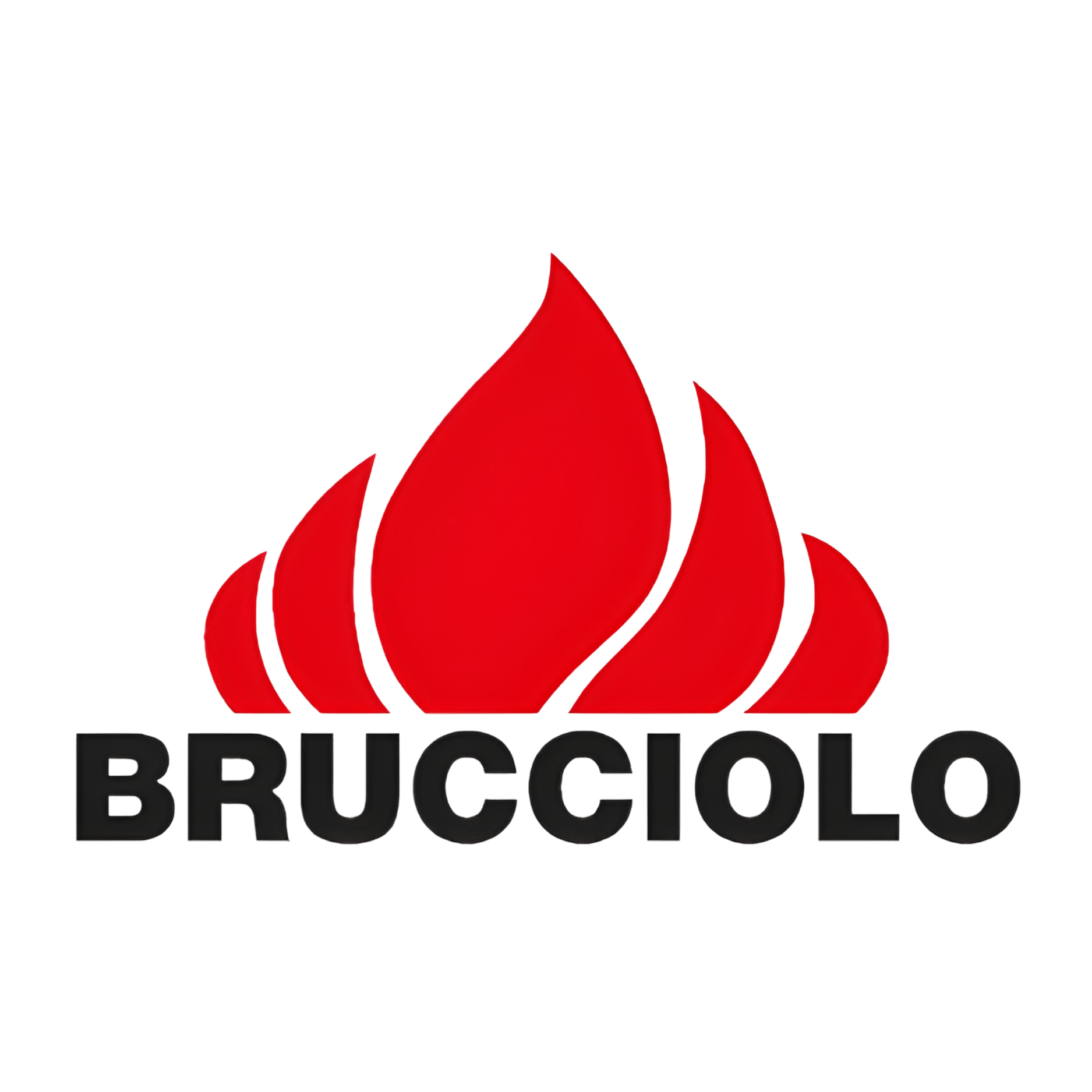 LOGO BRUCCIOLO