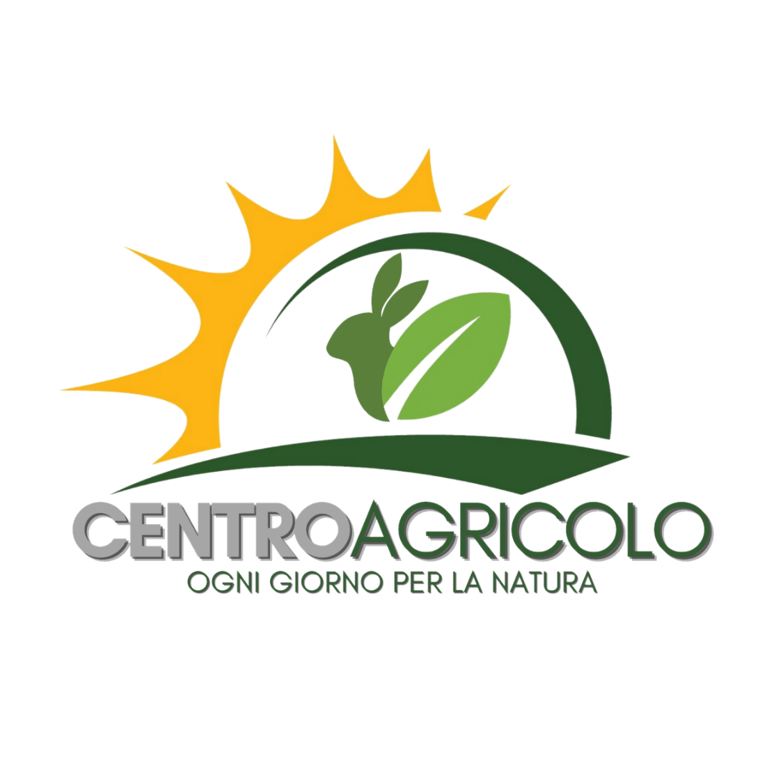 Rosmarino In Vaso 14 Cm | Pianta Aromatica Mediterranea Sempreverde Per Orto Giardino E Balcone