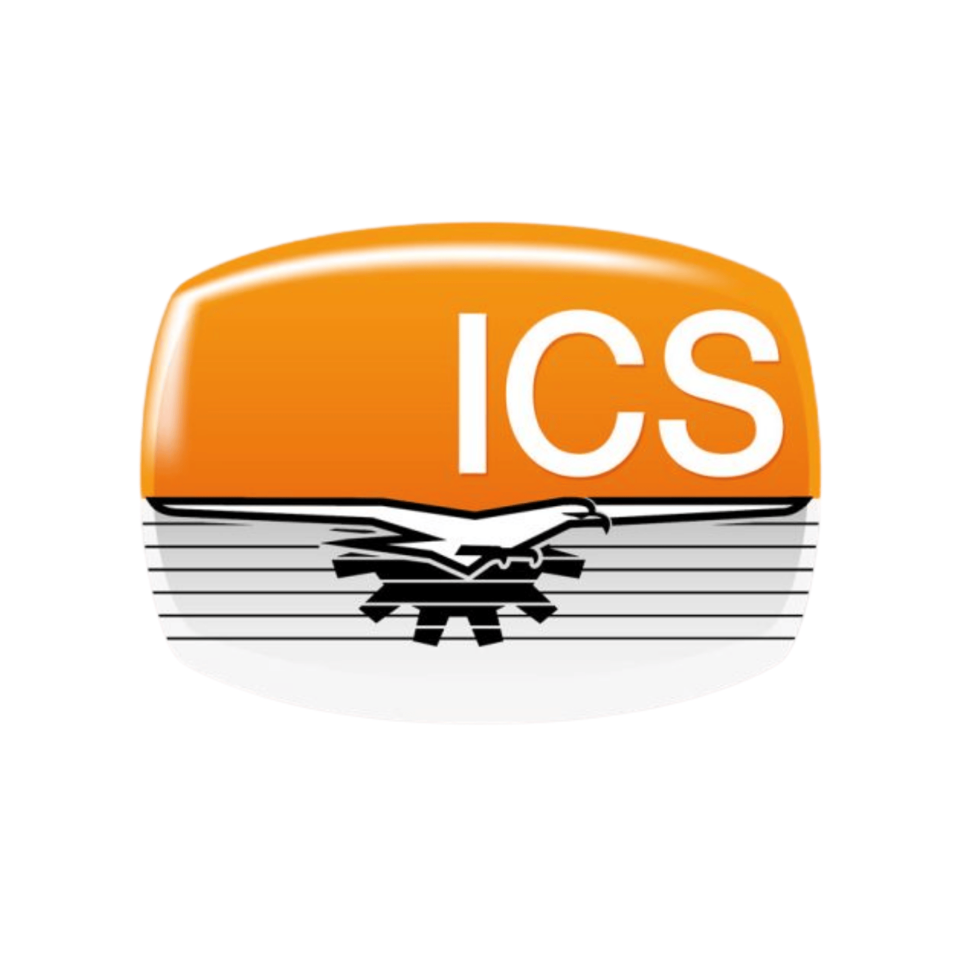LOGO ICS