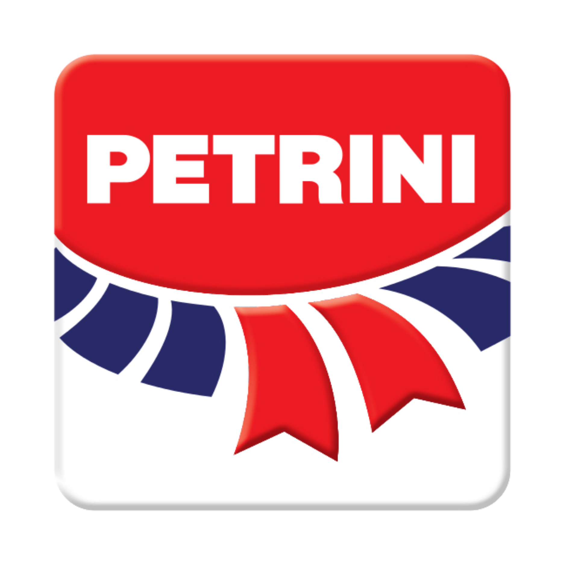 LOGO PETRINI