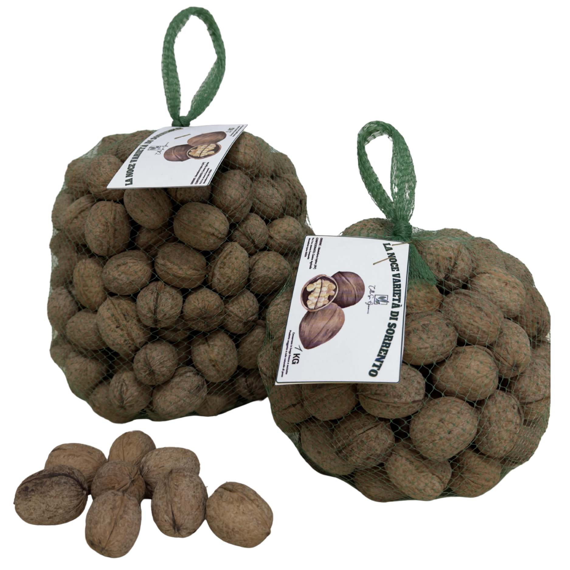 Noci varietà sorrento