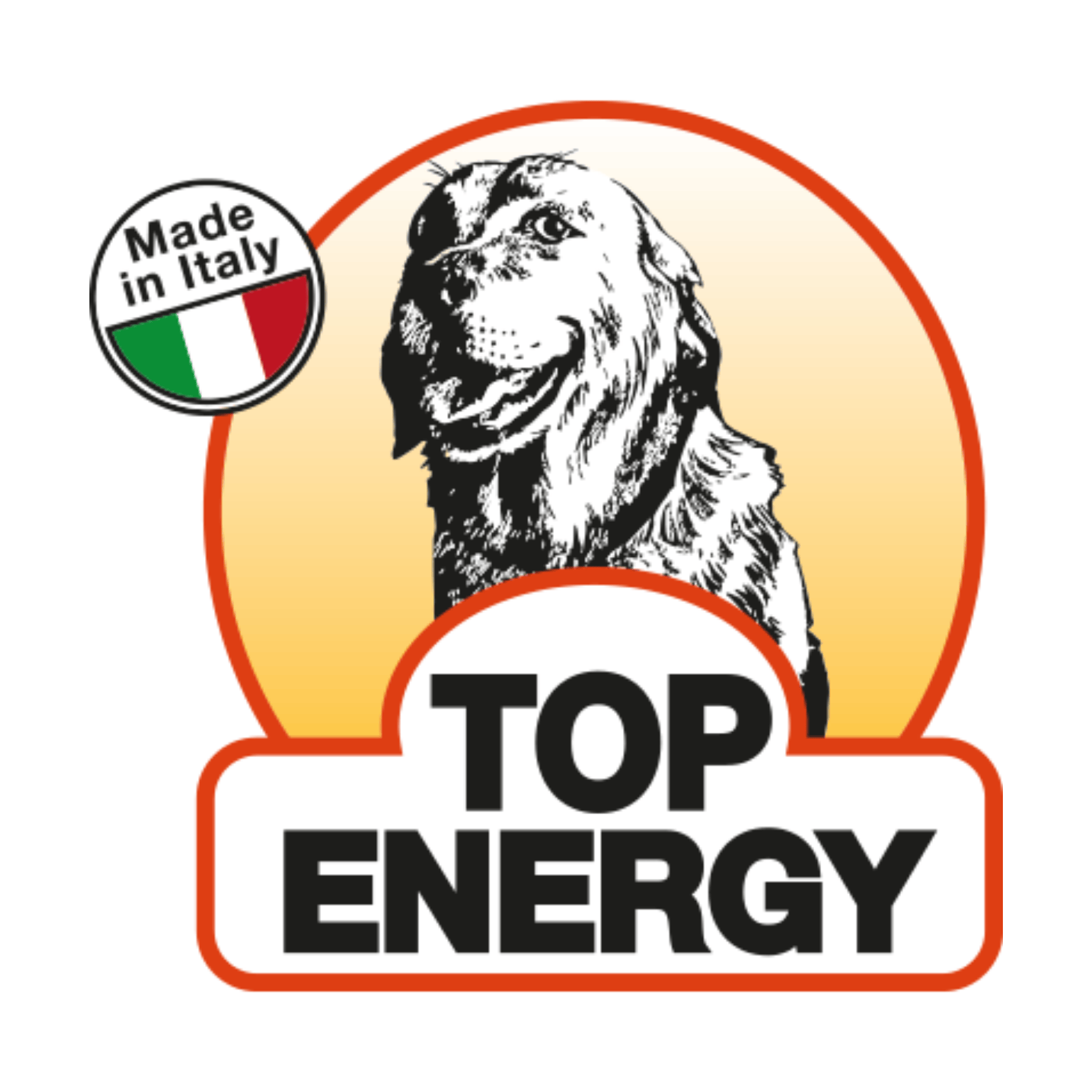 TOP ENERGY LOGO
