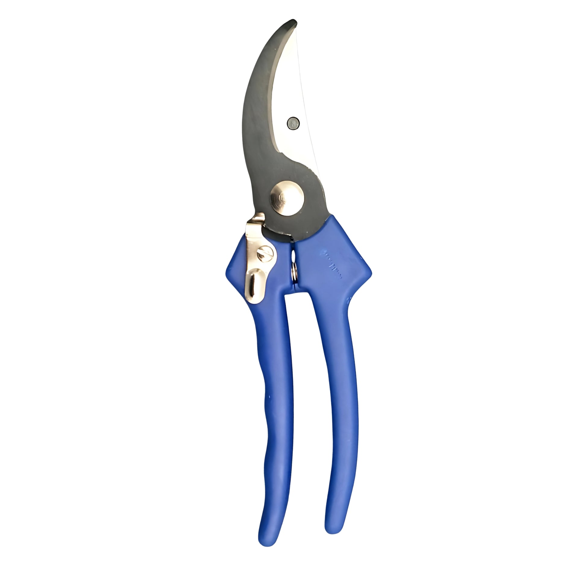 Forbici Da Pota Professionali Rura 149-22 | Lama Intercambiabile | Manici In Polipropilene | 22 Cm