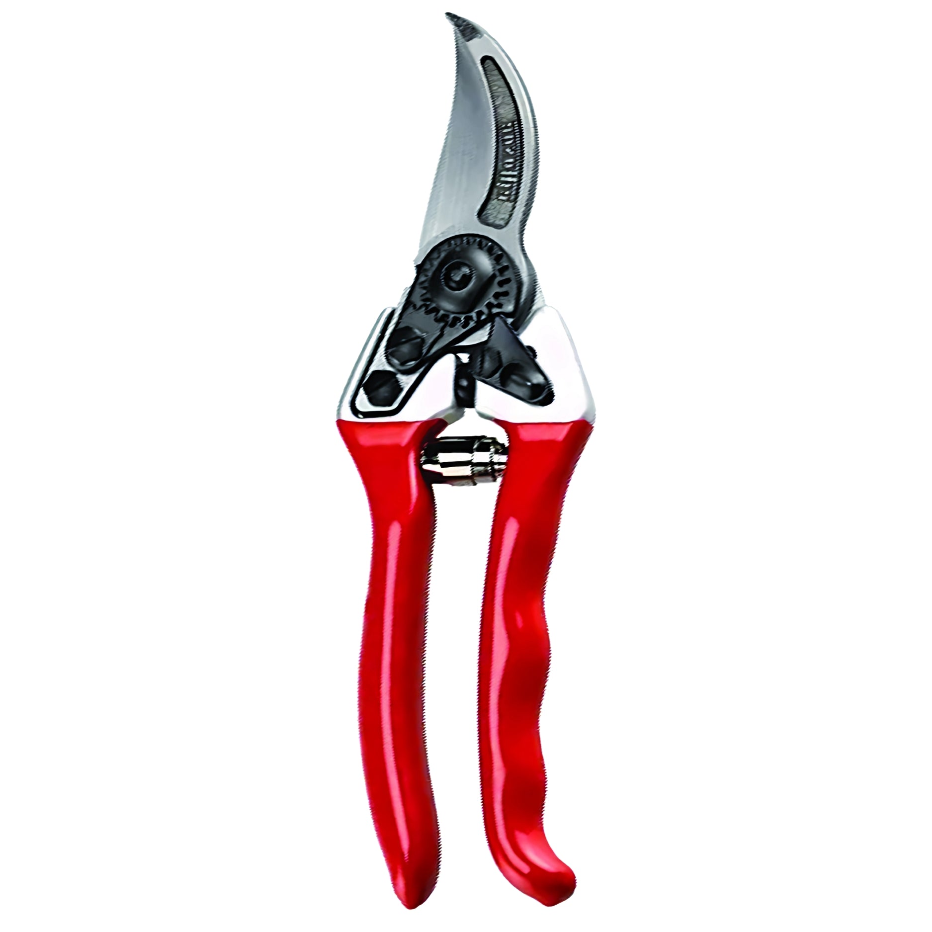 Forbice Da Pota Professionale Spalla Rossa 21 Cm | Manici Ergonomici In Alluminio | Lame Forgiate In Acciaio