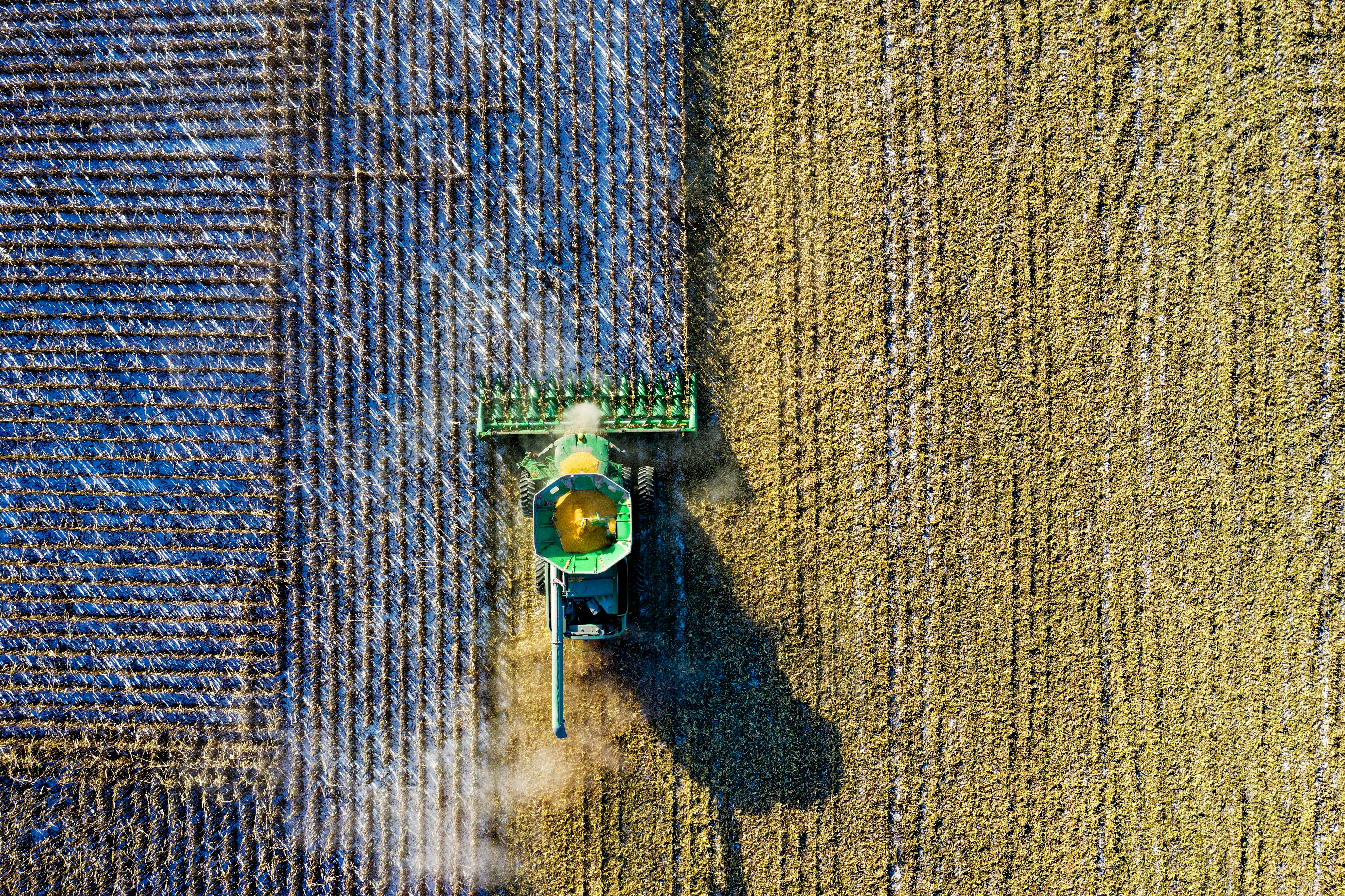 Forniture Agricole e Giardinaggio: Guida Completa per Hobbisti e Piccoli Agricoltori