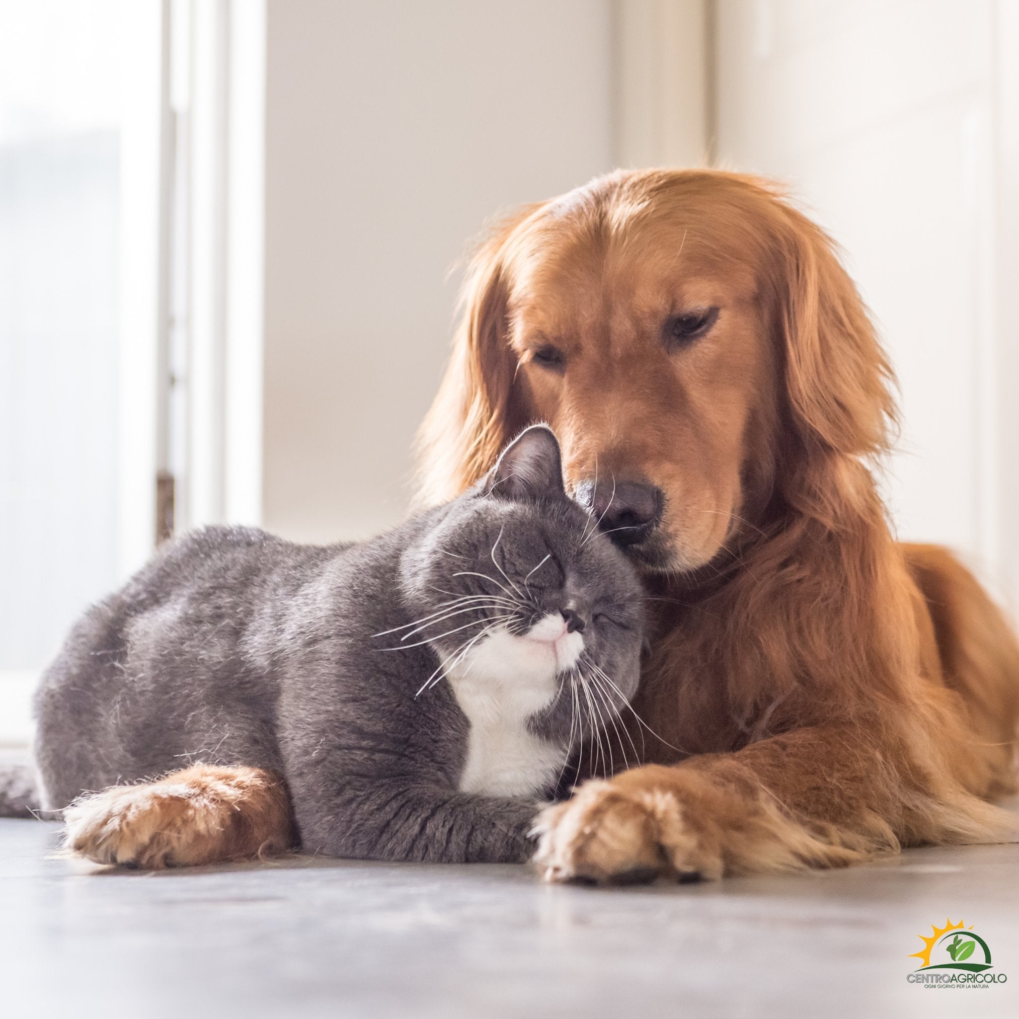 PET & CO