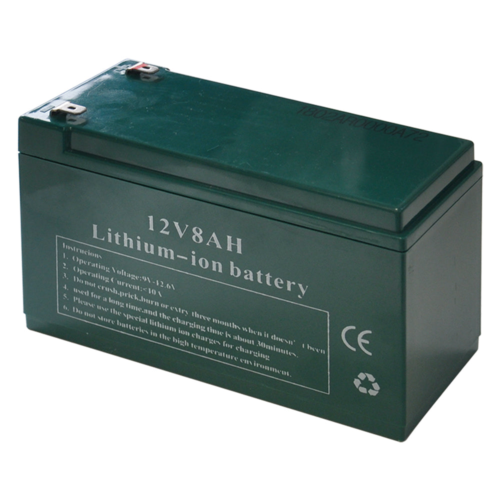 Batteria Per Pompa | LIF