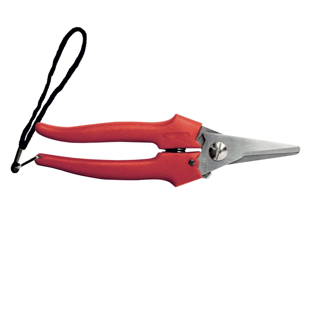 Forbici Cogliuva Art. 31327 - Cm 19 Ausonia