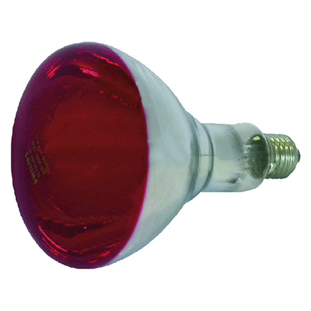 Lampada Infrarossi Per Riflettore 150 W - E27 Albert Kerbl