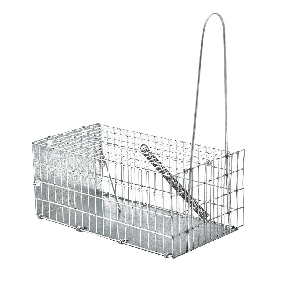 Trappola Per Topi | LIF