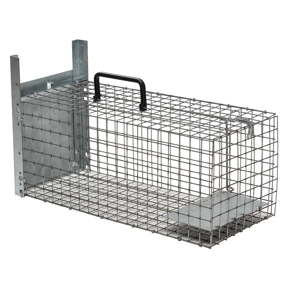 Trappola Per Topi | LIF