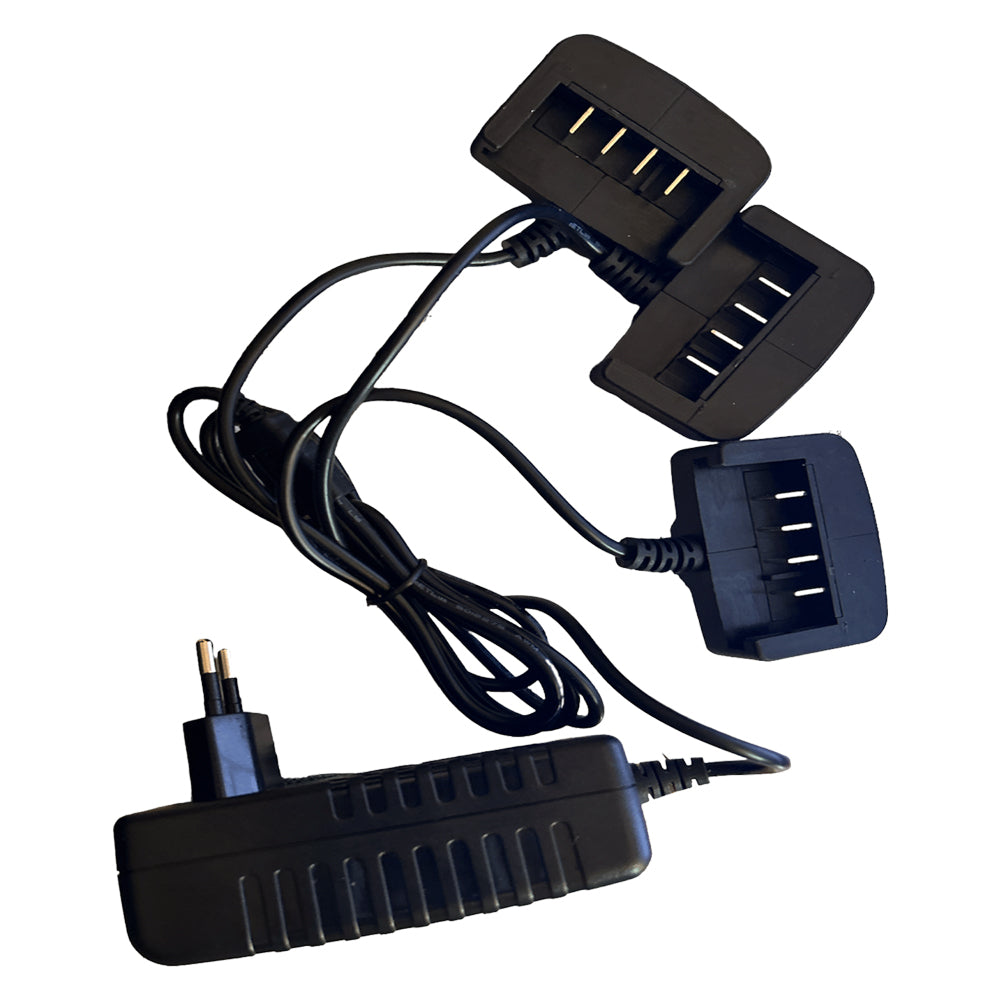 Chargeur de batterie 3 voies 2,5 Ah - 21,6 W Volpi | Pour la taille professionnelle des oliviers