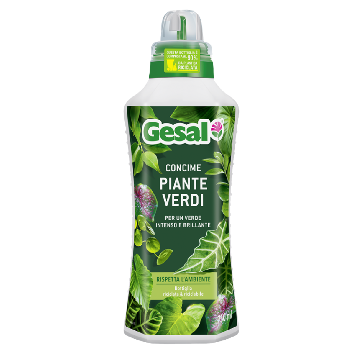 Concime liquido Gesal Per Piante Verdi | Con Ferro E Potassio | Verde Intenso E Crescita Rigogliosa
