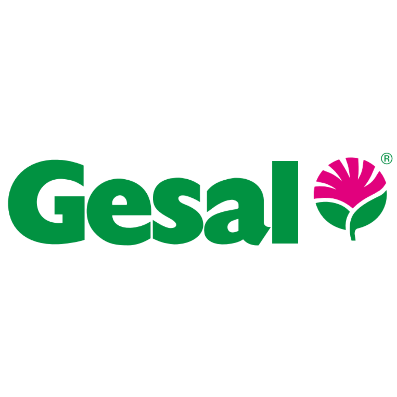 Concime Liquido Gesal Per Gerani E Piante Fiorite | Formula Con Ferro Per Fioriture Abbondanti 750 Ml