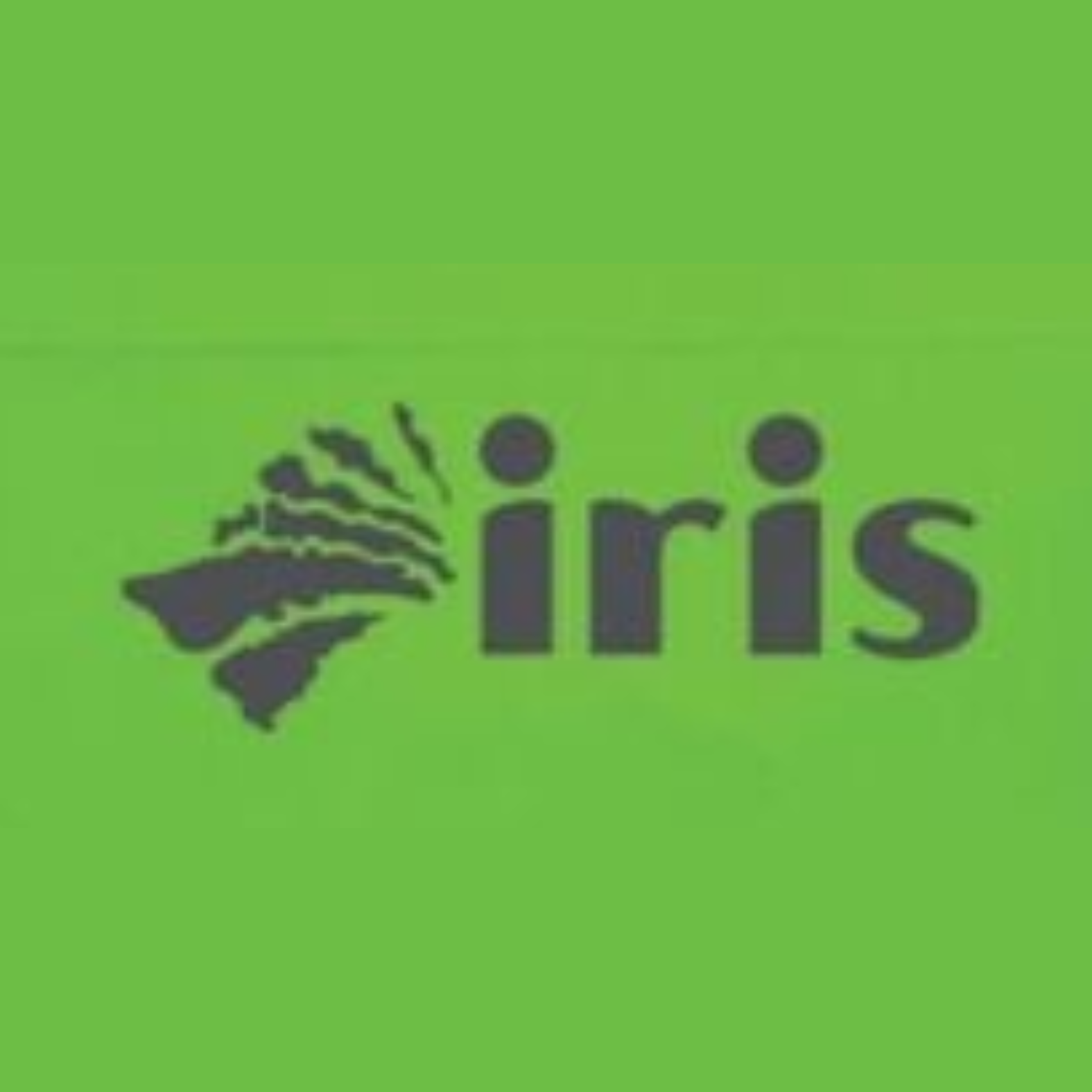 Pompa A Pressione Manuale Iris Garden Da 8 Litri | Lancia Regolabile | Spallaccio Inclusa | Uso Agricolo