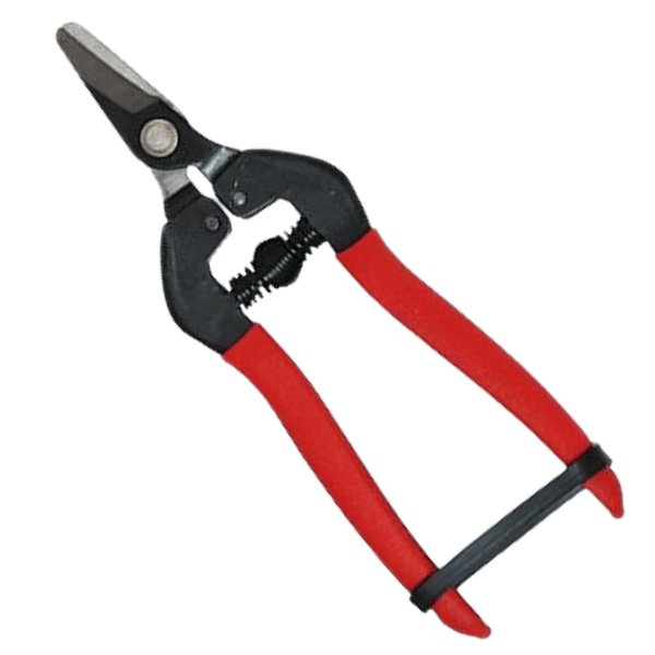 Falci Grape Harvesting Shears 19 cm | Professional Heavy-Duty Agricultural Shears