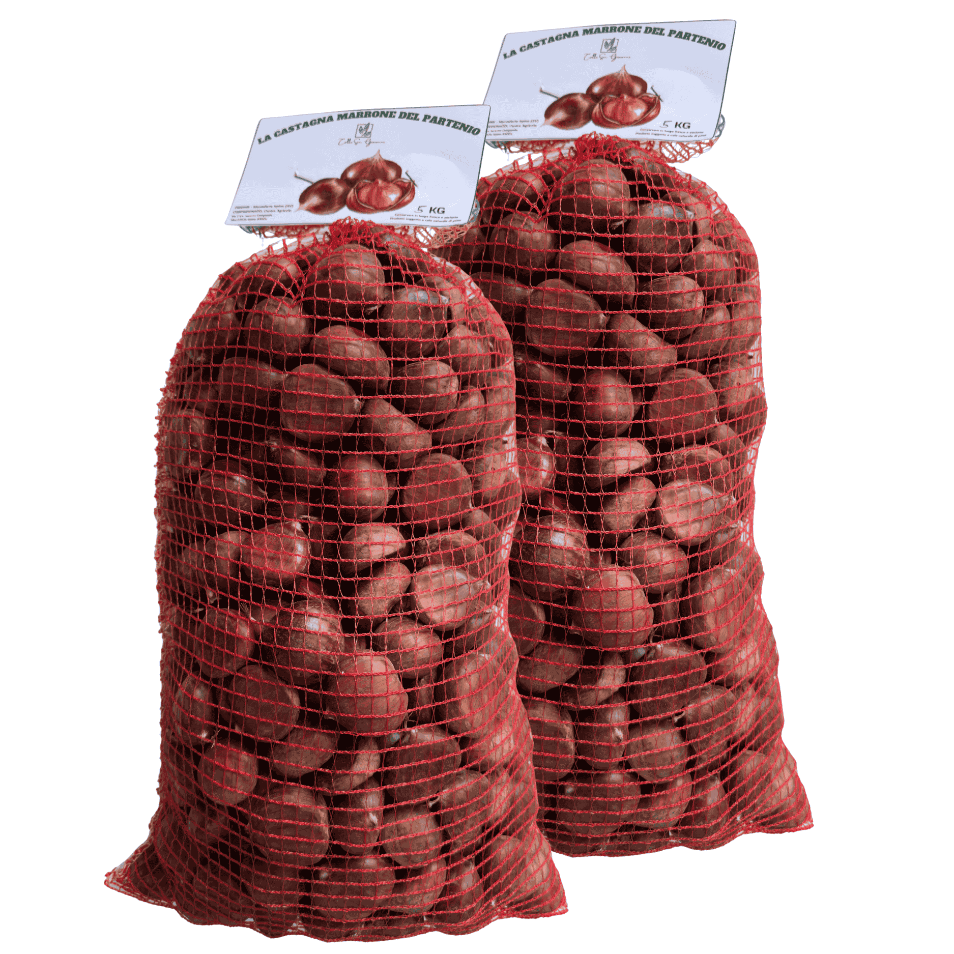 Castagna Marrone Del Partenio Colle San Giovanni | Origine Monteforte Irpino | Qualità Superiore