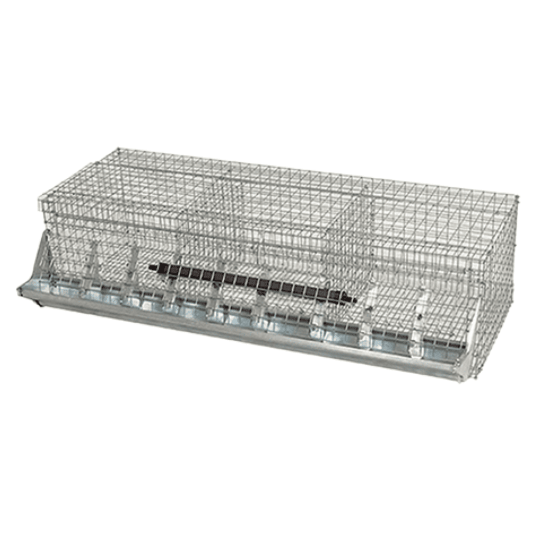 Gabbia Conigli Ingrasso Tre Fori Giacomo Menza | Fondo Rete Tripla Zincatura | Senza Nidi