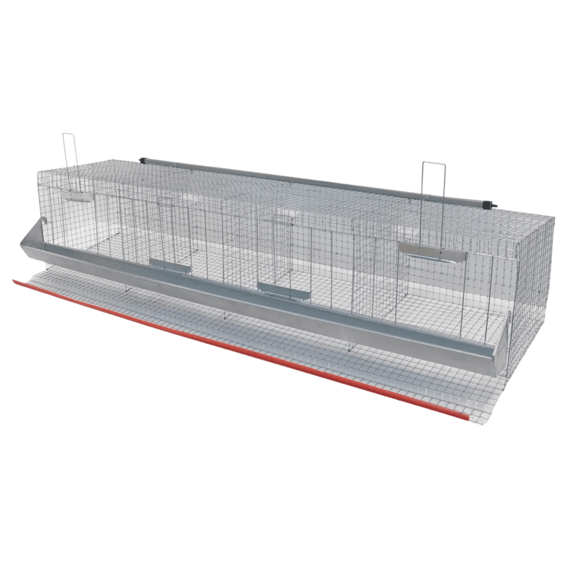 Gabbia Professionale Per Galline Ovaiole M.G. Giacomo Menza A 4 Celle | Zincata Con Accessori Completi