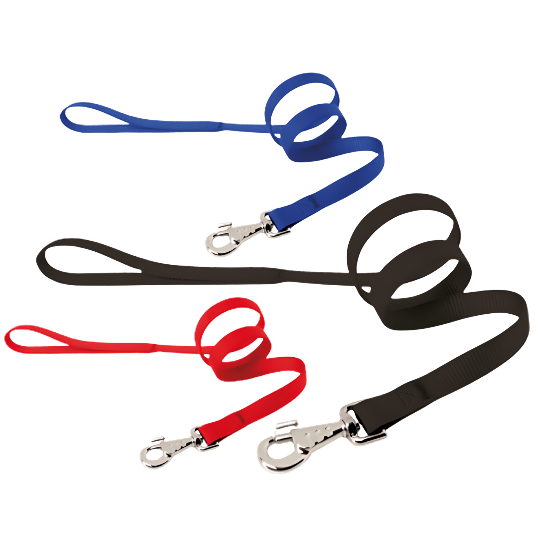 Guinzaglio In Nylon Camon Per Cani | Alta Resistenza E Comfort | Vari Formati E Colori