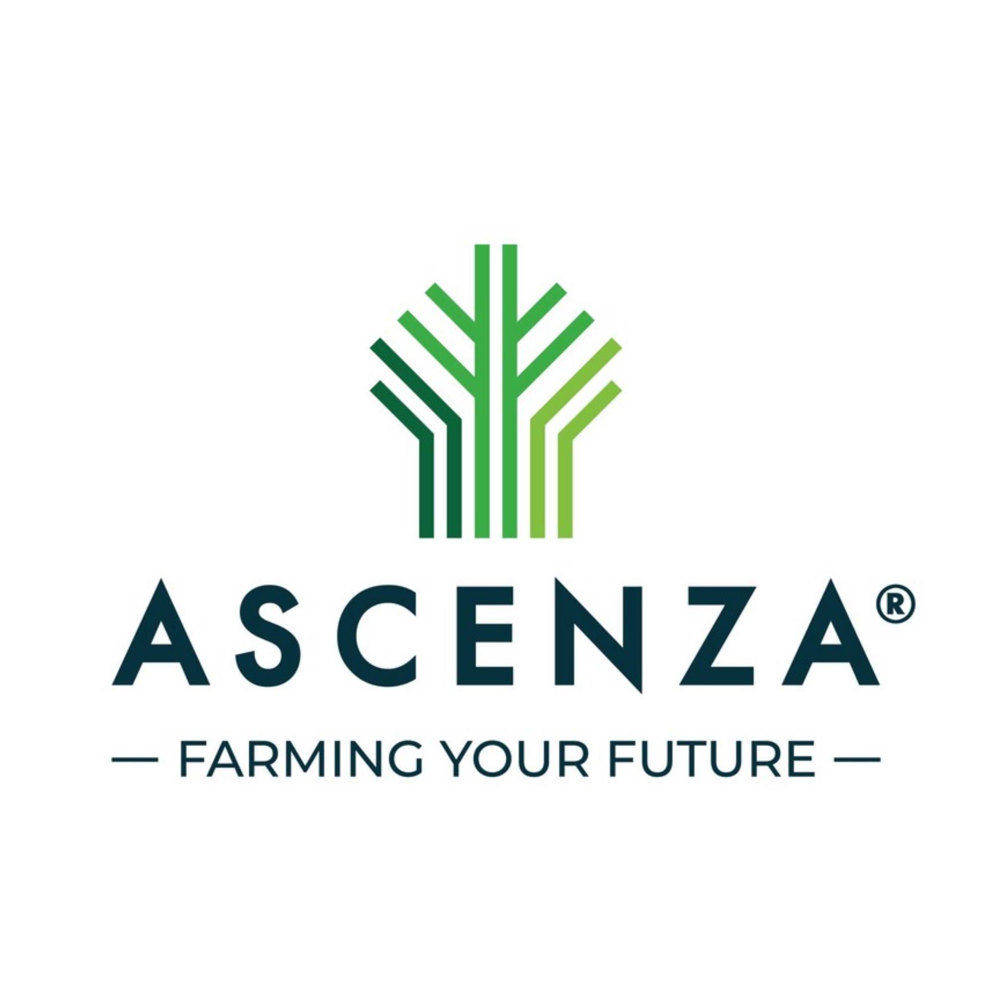 LOGO ASCENZA