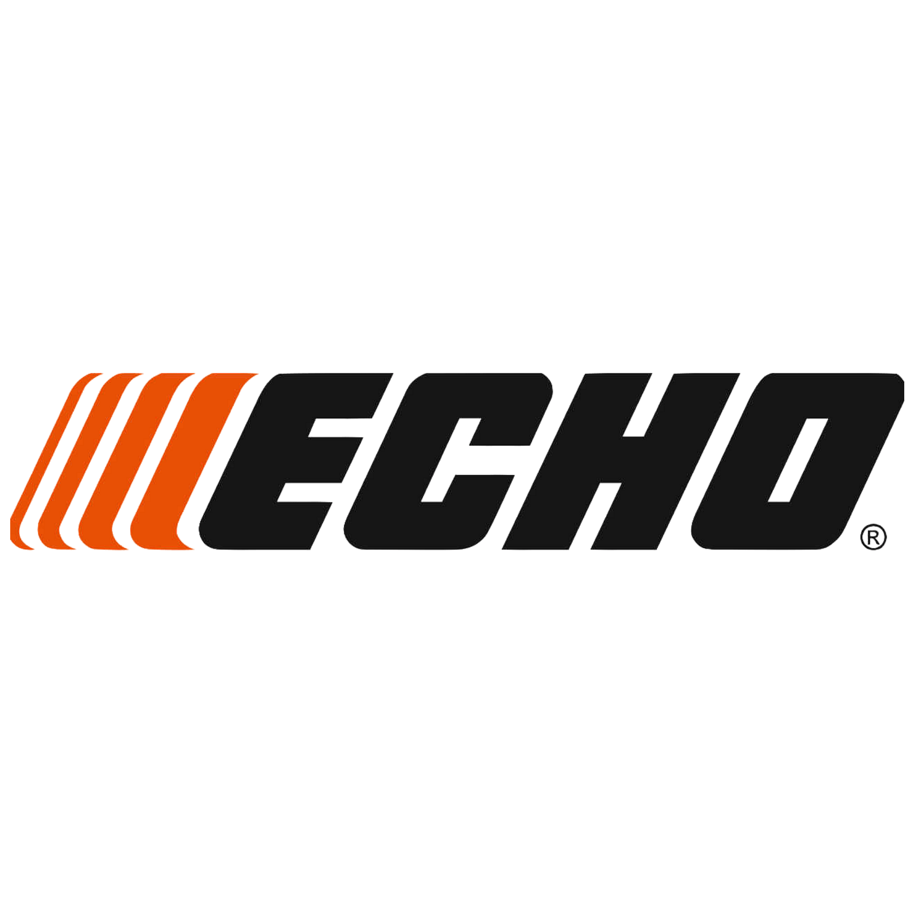 LOGO ECHO