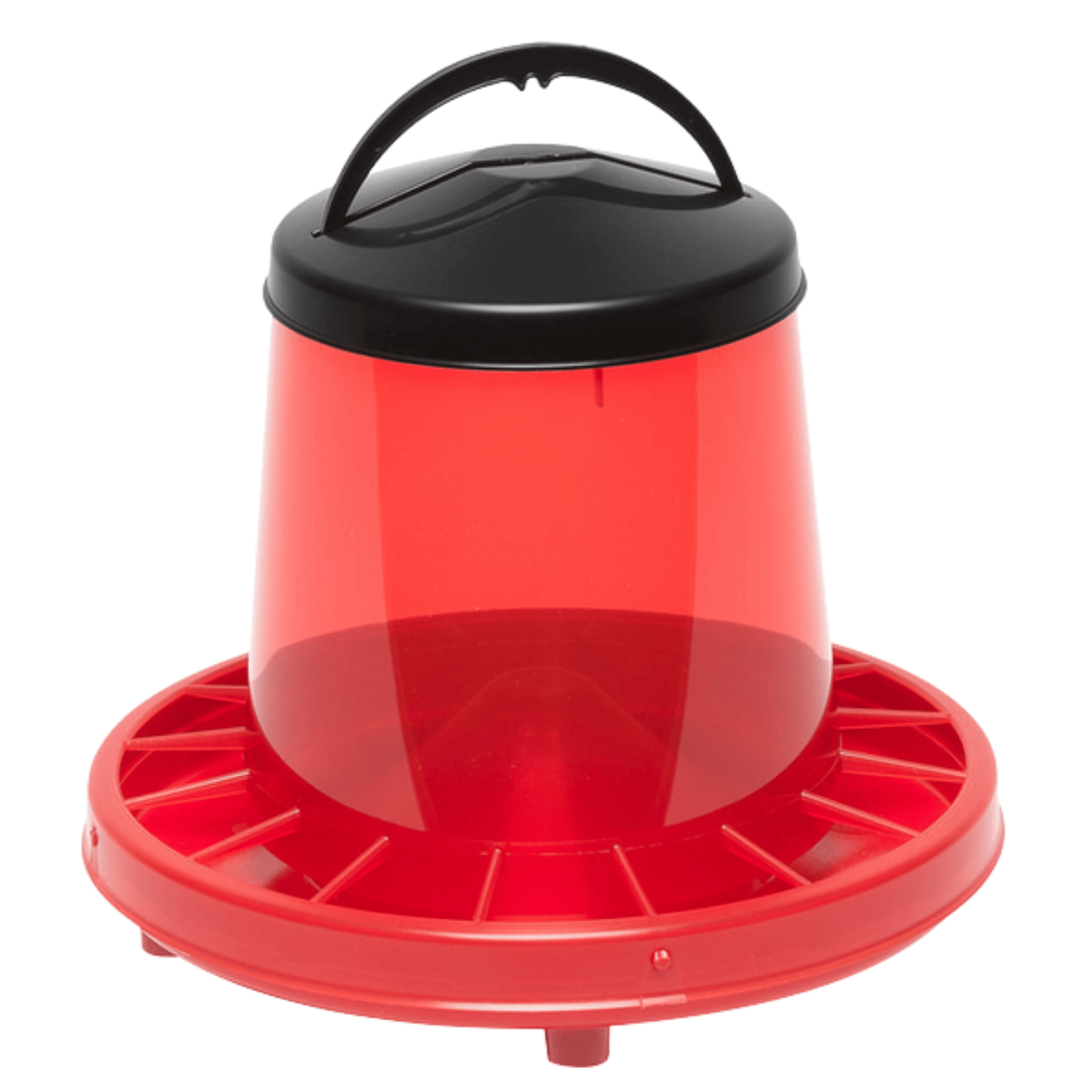 Mangiatoia A Tramoggia Per Pulcini WINNI 3 Kg | Con Griglia Antispreco E Coperchio Ergonomico