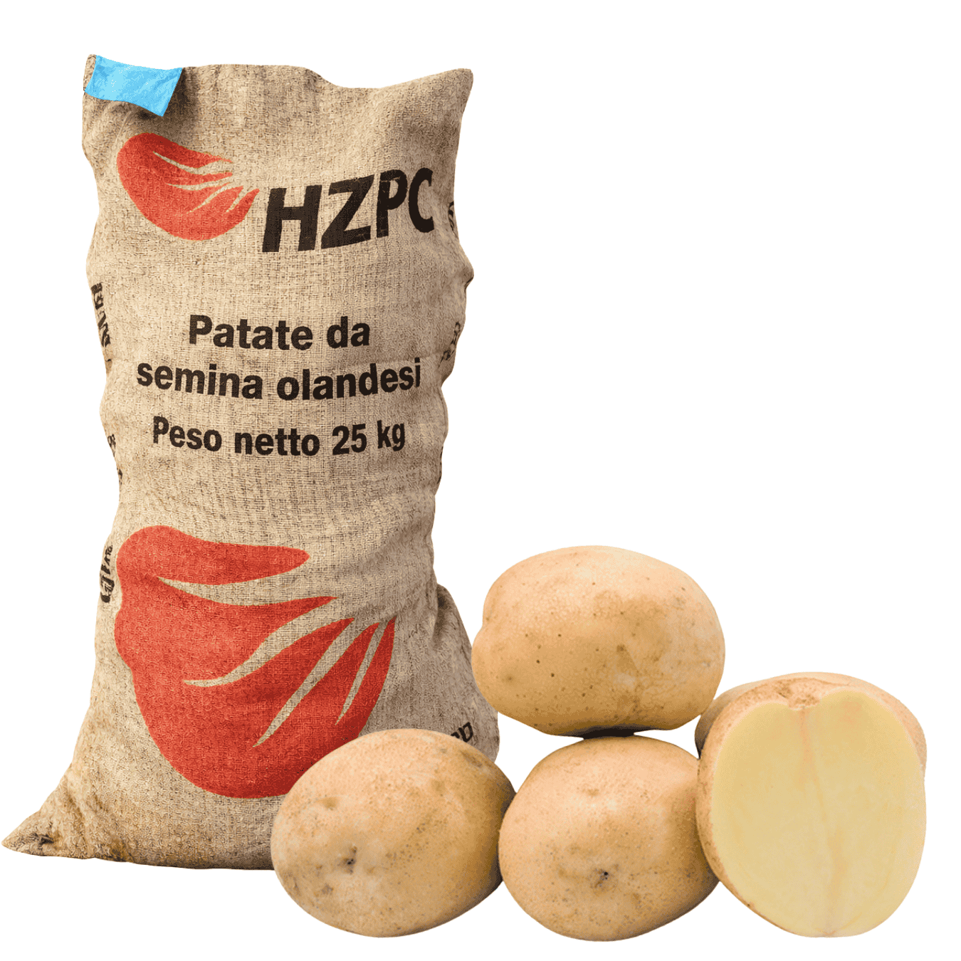 PATATA DA SEMINA SIFRA