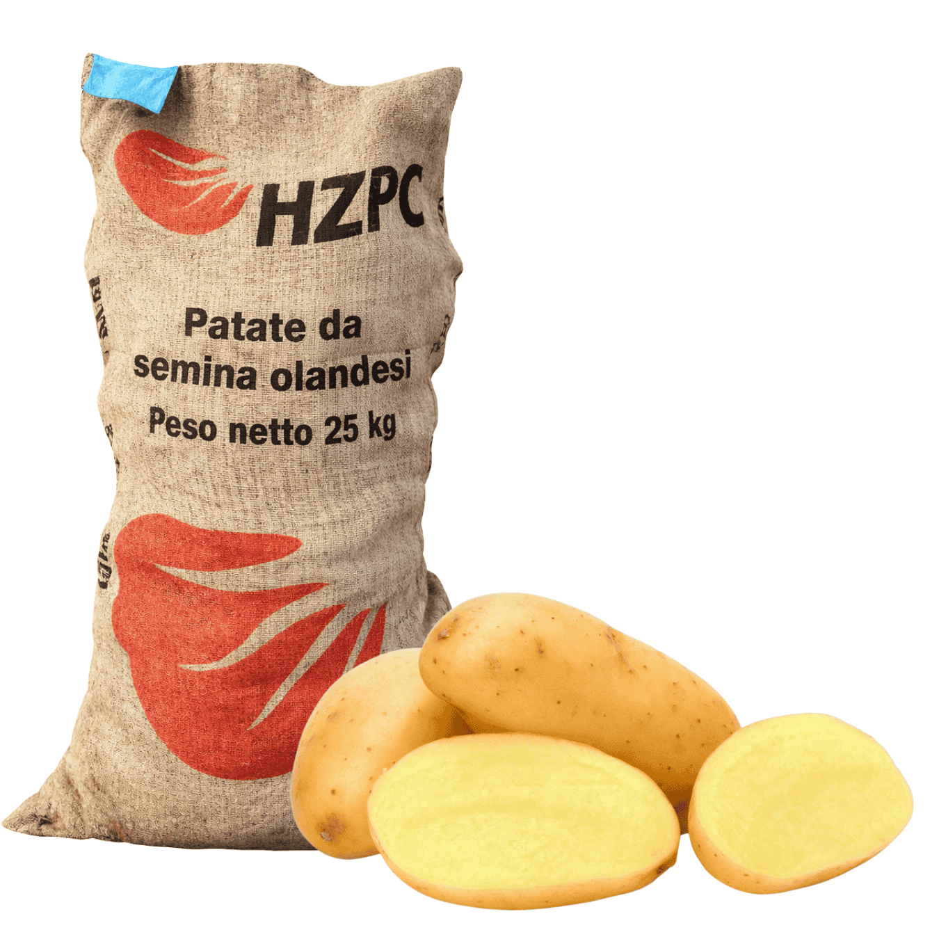 PATATE DA SEMINA AGRIA