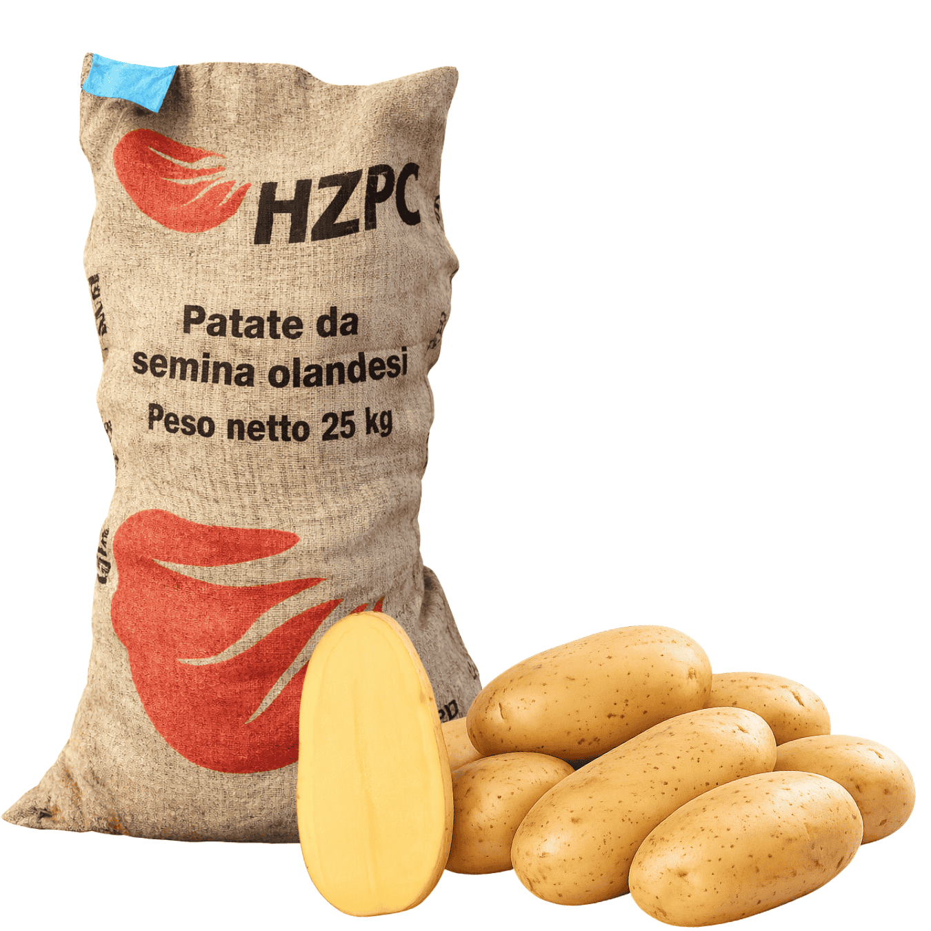 PATATE DA SEMINA BRIANNA