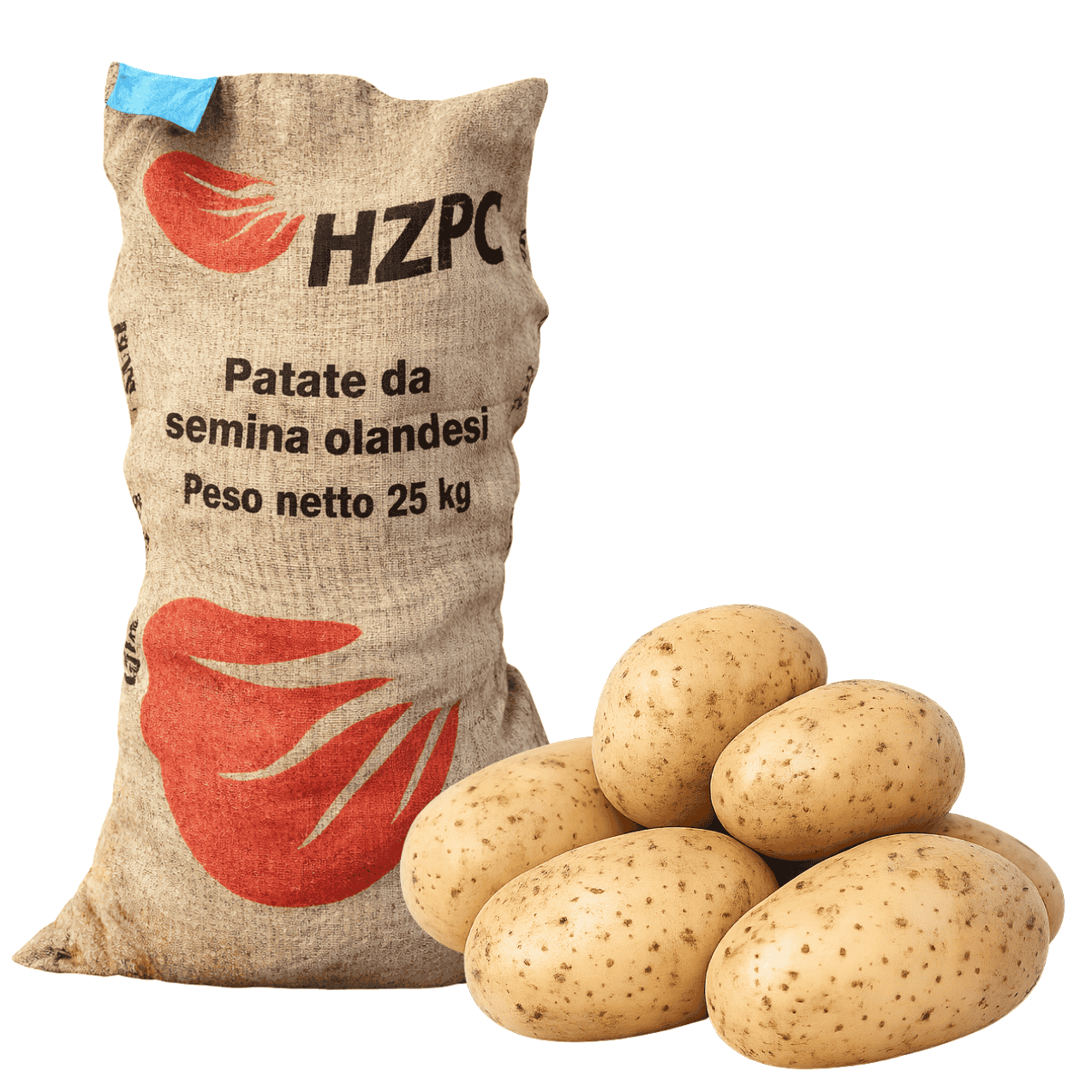 PATATE DA SEMINA ESTEBAN