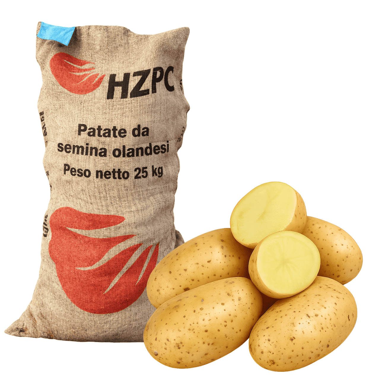 PATATE DA SEMINA MONALISA