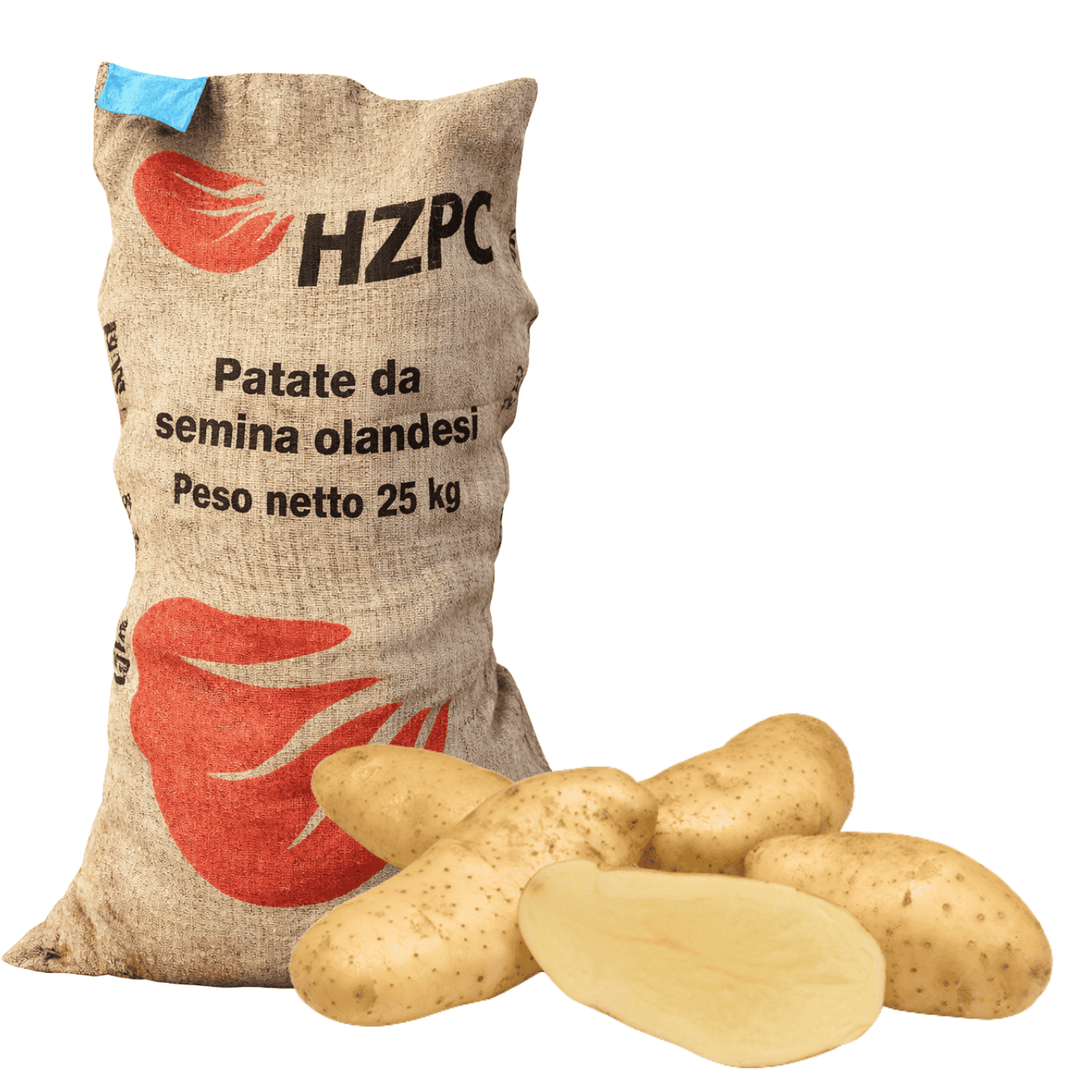PATATE DA SEMINA SPUNTA