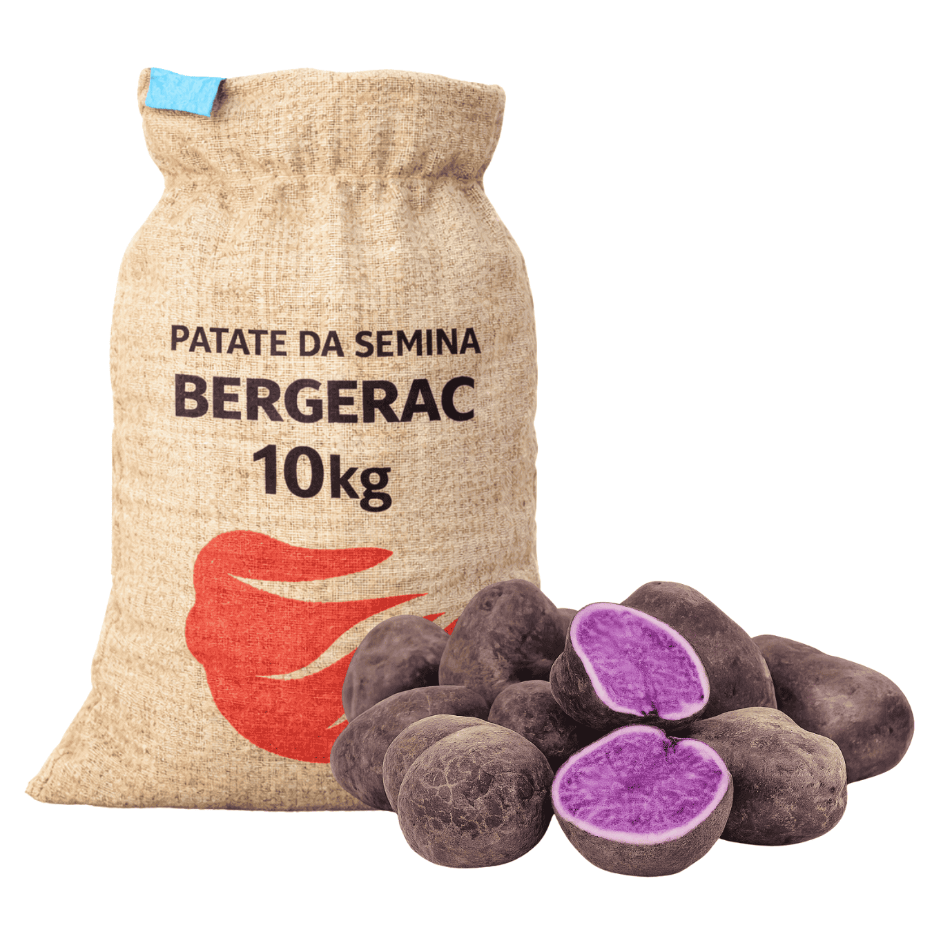 PATATE DA SEMINA VIOLA BERGERAC